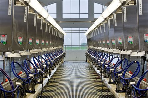 Milk parlor - As dairy farms grow and evolve, so do their milking parlor and technology needs. While many farms start with basic systems, as herds grow and milk production increases, the time may come when upgrades and retrofits are necessary. Read More. Key factors to consider for building a parlor expansion.